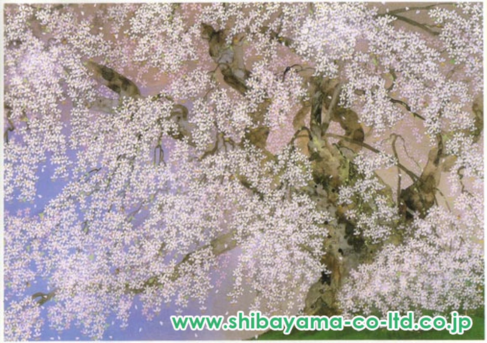【中古品】中島千波「三春の瀧桜」 中島千波 静夜 三春の瀧桜 | 絵画など美術品の販売と買取 | 東京
