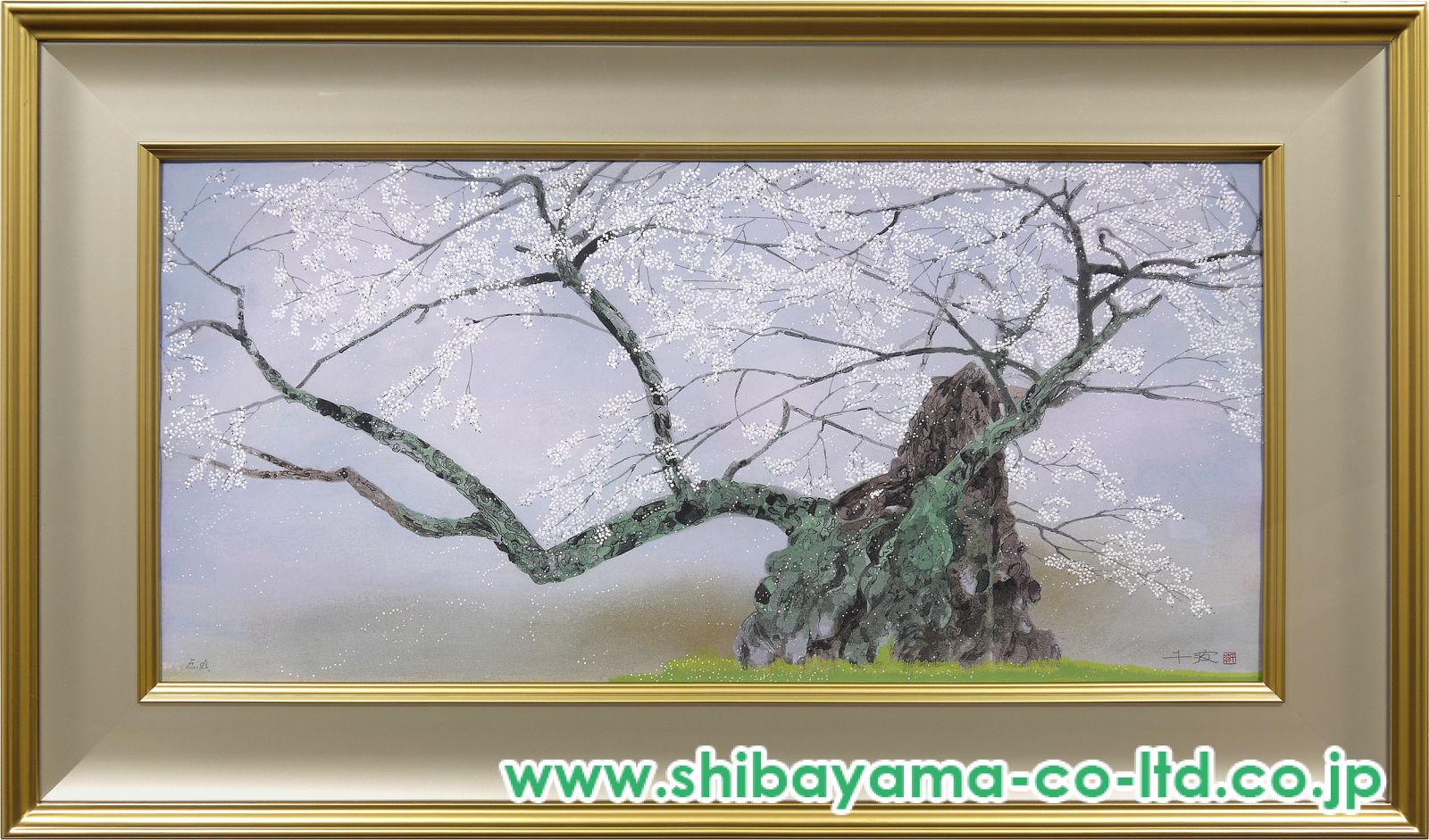 中島千波、【神代桜】、希少な大判額装用画集より、美品、日本人画家 中島千波 『千歳櫻』 岩絵具方式 複製日本画 絵画 桜 春 名画
