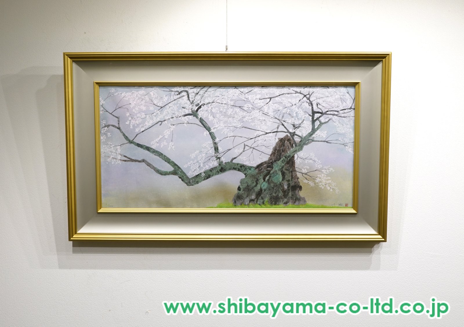 中島千波「神代桜(1)」木版画 :: 絵画買取・販売 - シバヤマ