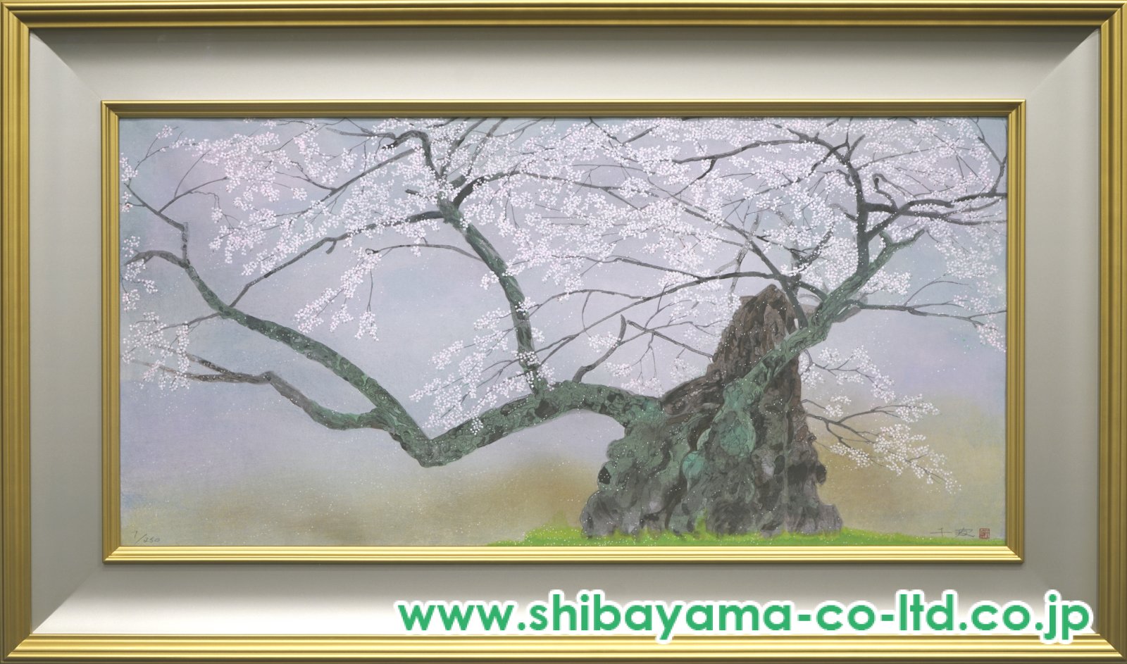 3073_6c3bf058cf55cebec2ace016b