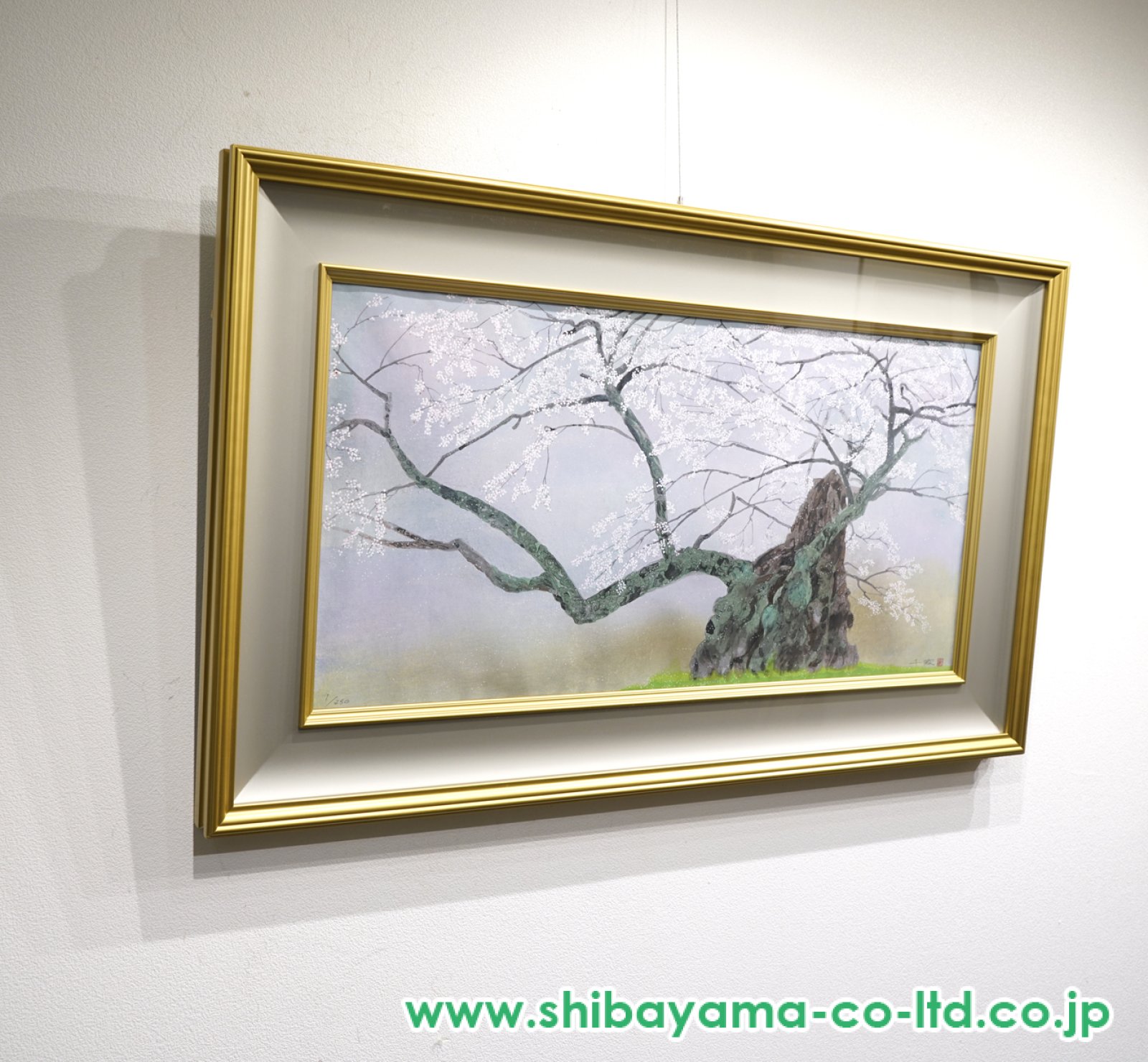 中島千波「神代桜(1)」木版画 :: 絵画買取・販売 - シバヤマ