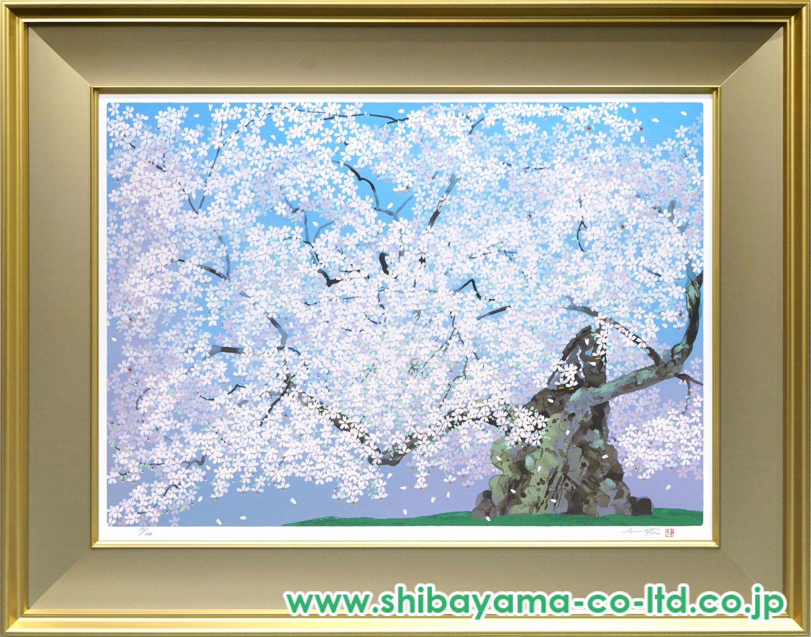 美品！中島千波 岩絵具方式複製画 シルクスクリーン　山高神代桜　1000部限定 美品！中島千波 岩絵具方式複製画 シルクスクリーン山高神代桜