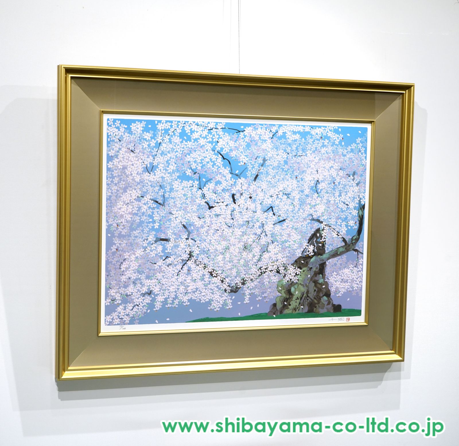 中島千波「神代桜」シルクスクリーン :: 絵画買取・販売 - シバヤマ