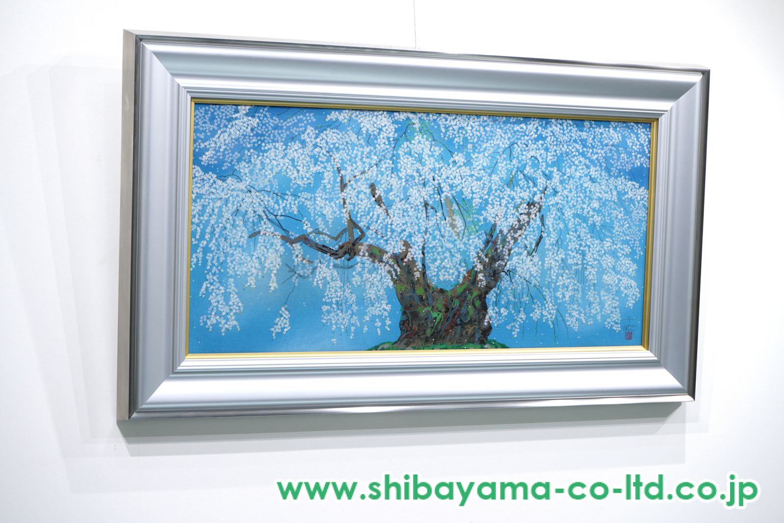 中島千波「坪井の枝垂桜(2)」木版画 :: 絵画買取・販売 - シバヤマ