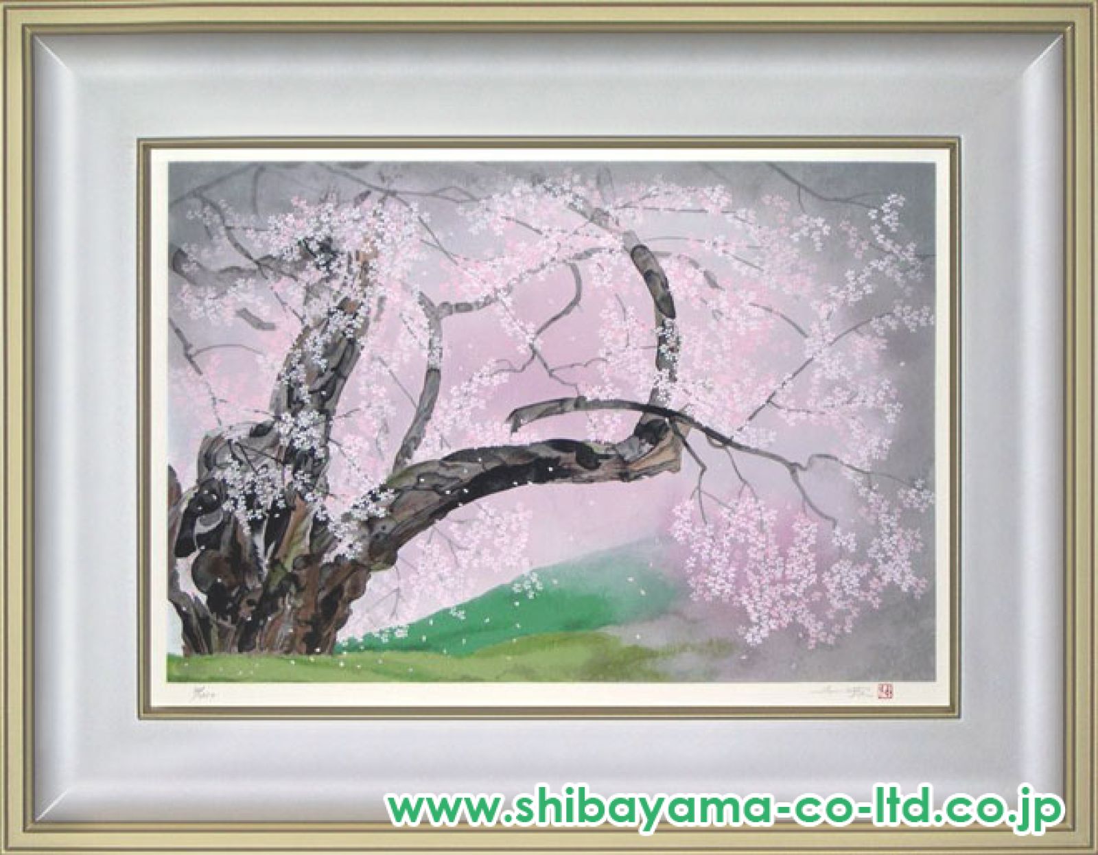 臥龍櫻爛漫　中島千波作品 楽天市場】中島千波 臥龍桜爛漫 桜 絵画 臥龍桜 和風 岐阜県高山