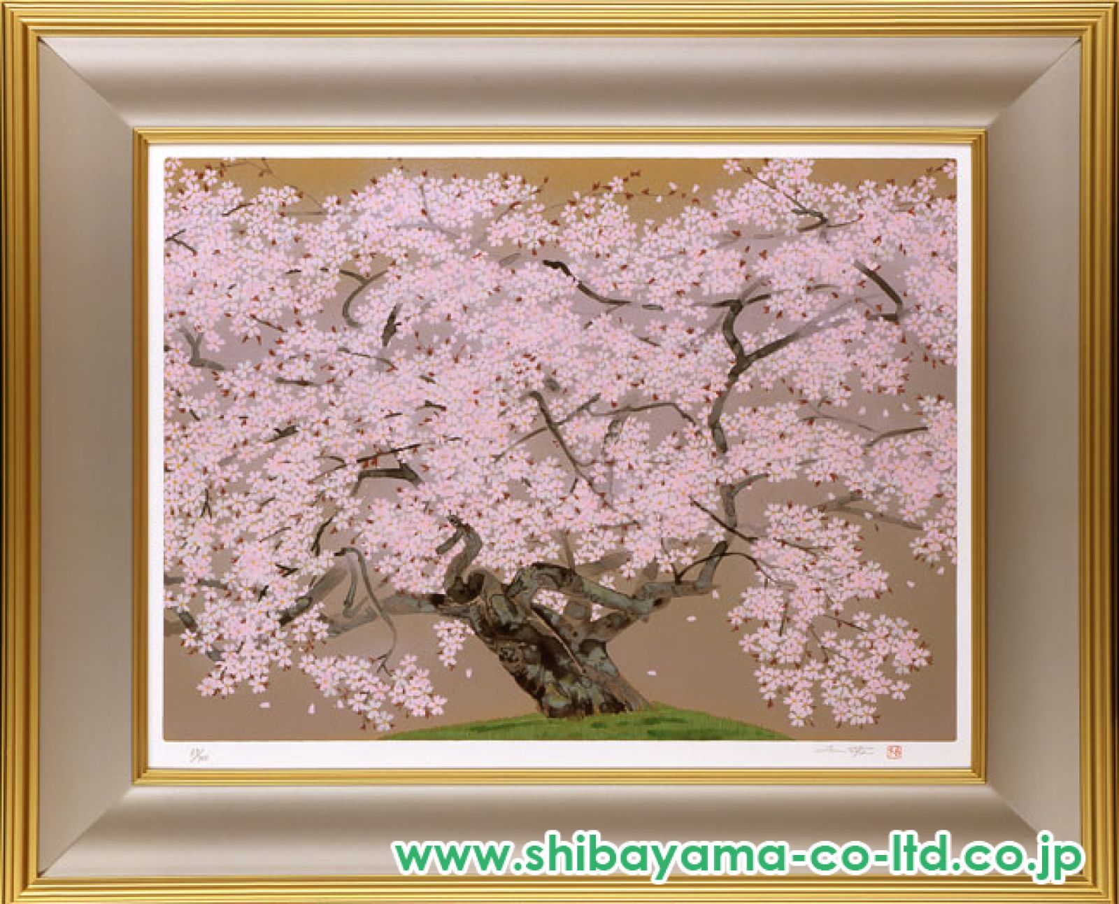 【静物画】シルクスクリーン 中島千波「春麗山桜」シルクスクリーン :: 絵画買取・販売