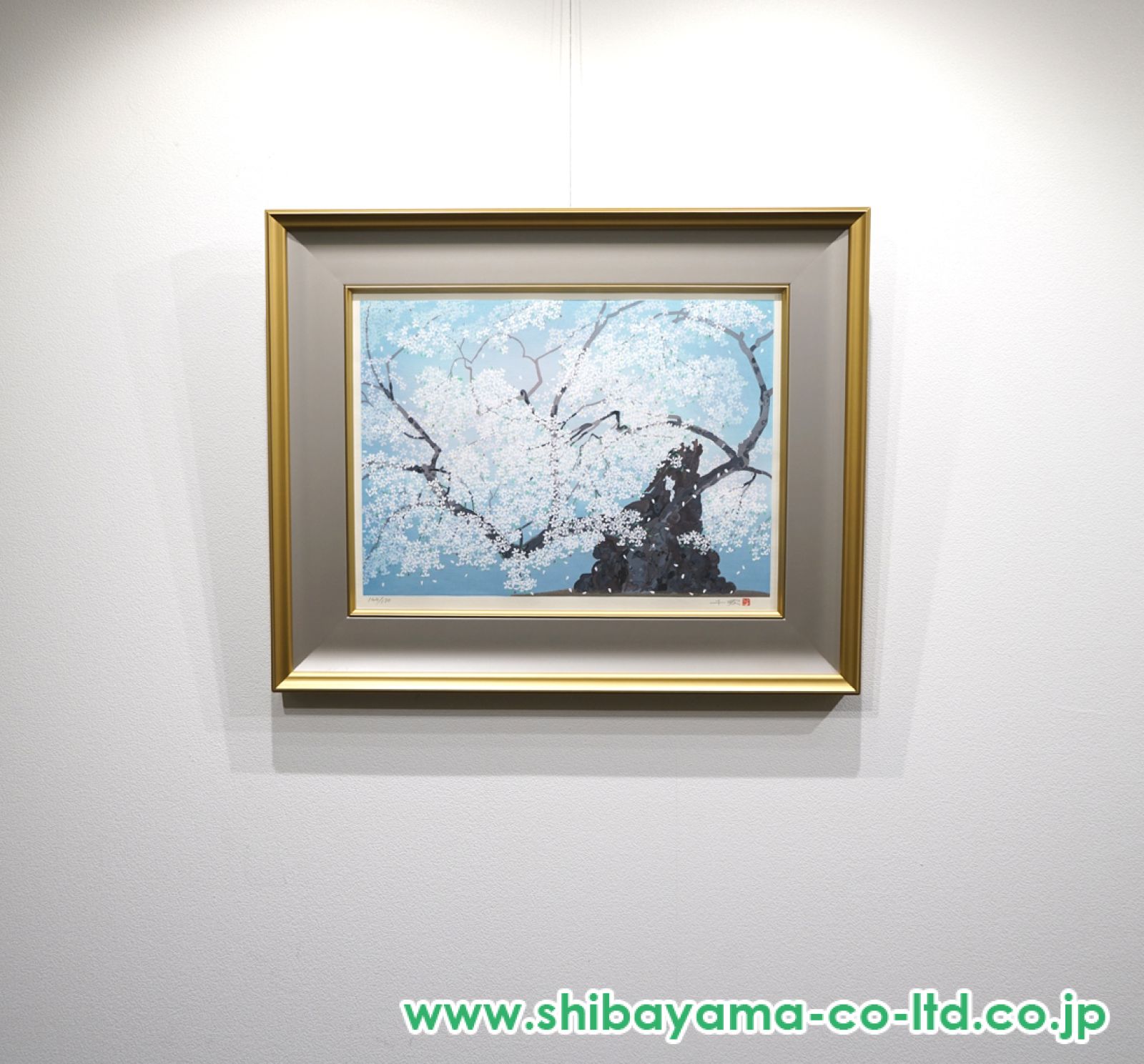 中島千波、【神代桜】、希少な大判額装用画集より、美品、日本人画家 中島千波、【神代桜】、希少な大判額装用画集より、美品、日本人画家
