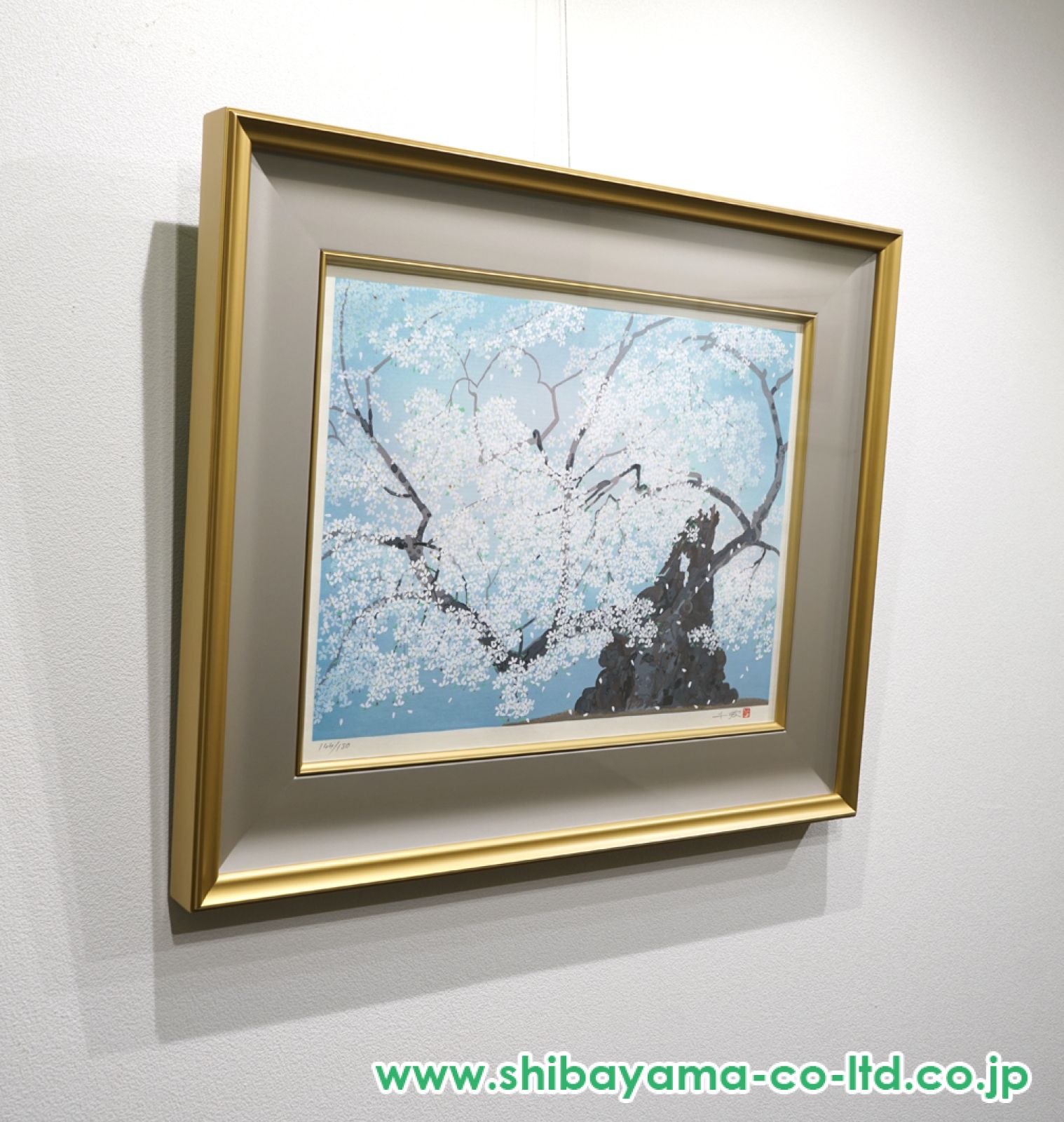 美品！中島千波 岩絵具方式複製画 シルクスクリーン　山高神代桜　1000部限定 h-1170-5.jpg