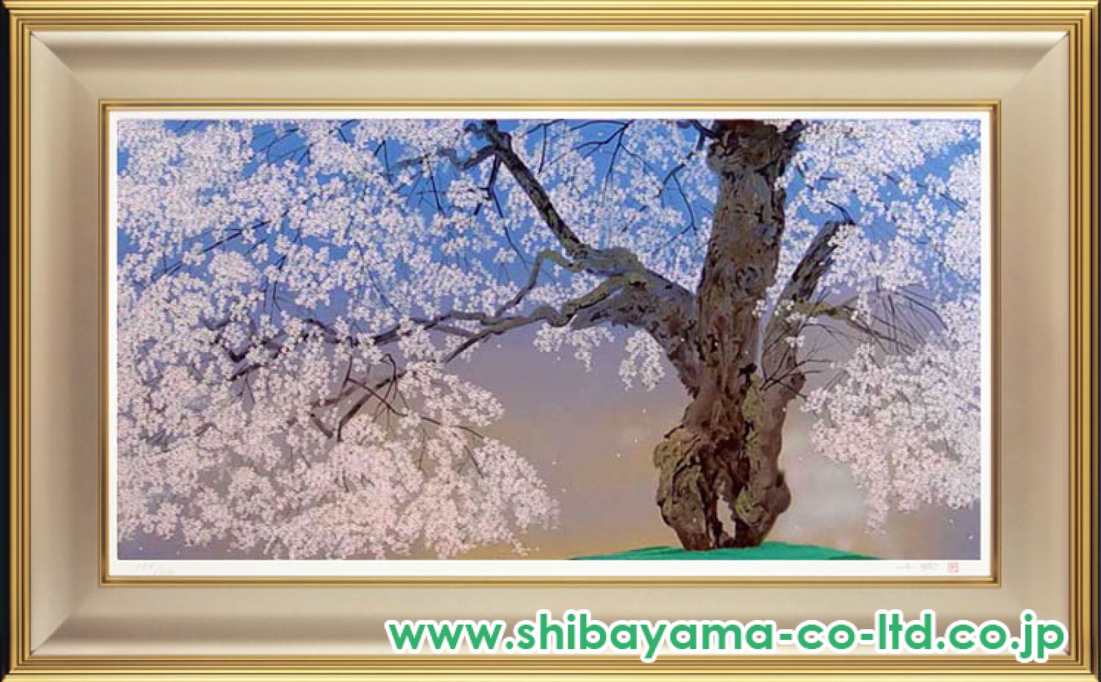 中島千波「常照皇寺の九重桜」リトグラフ(石版画) 中島千波「常照皇寺の九重桜 2」が激安・卸価格で販売中｜絵画