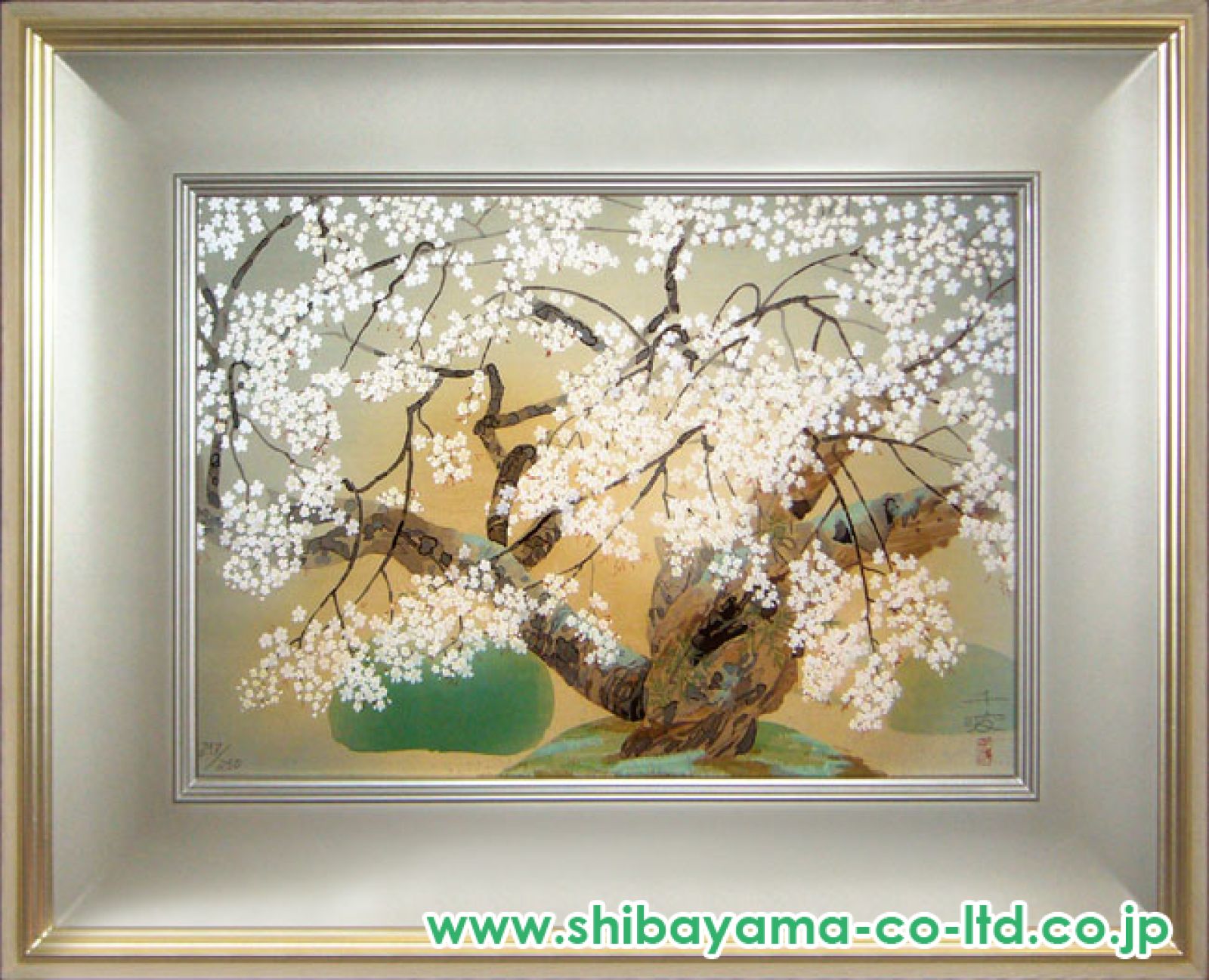 福島一二三、【御車返しの桜】、希少な画集画、新品高級額 額装付 Yahoo!オークション - 津田一江 【私】 希少な額装用画集より