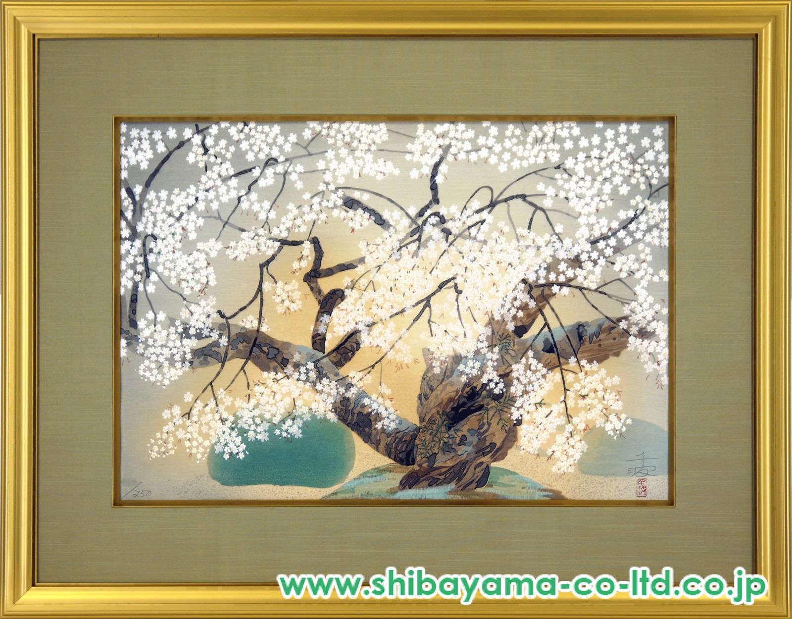 中島千波「御車返の桜」木版画 :: 絵画買取・販売 - シバヤマ
