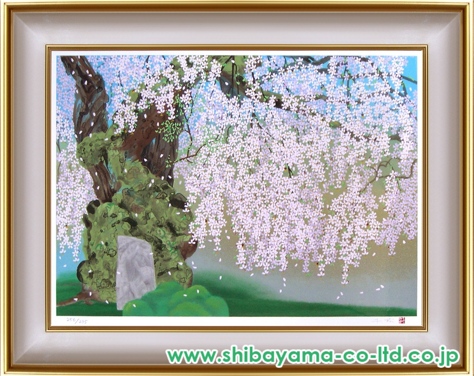 中島千波「常照皇寺の九重桜」リトグラフ :: 絵画買取・販売 - シバヤマ