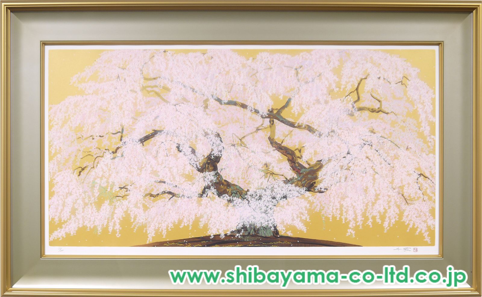 中島千波「般若院枝垂桜絢爛」シルクスクリーン :: 絵画買取