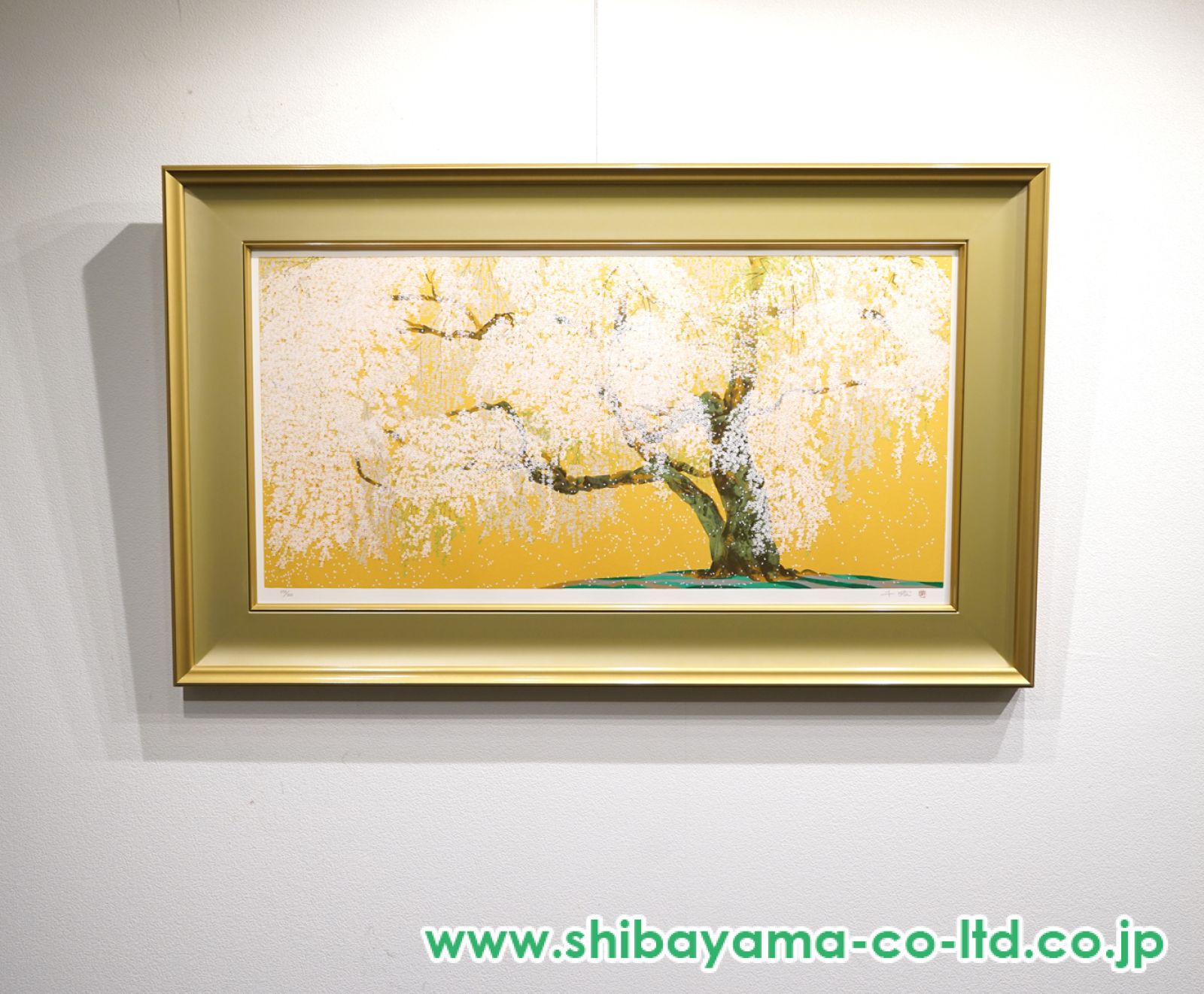 中島千波「醍醐寺三宝院枝垂桜吹雪」シルクスクリーン :: 絵画