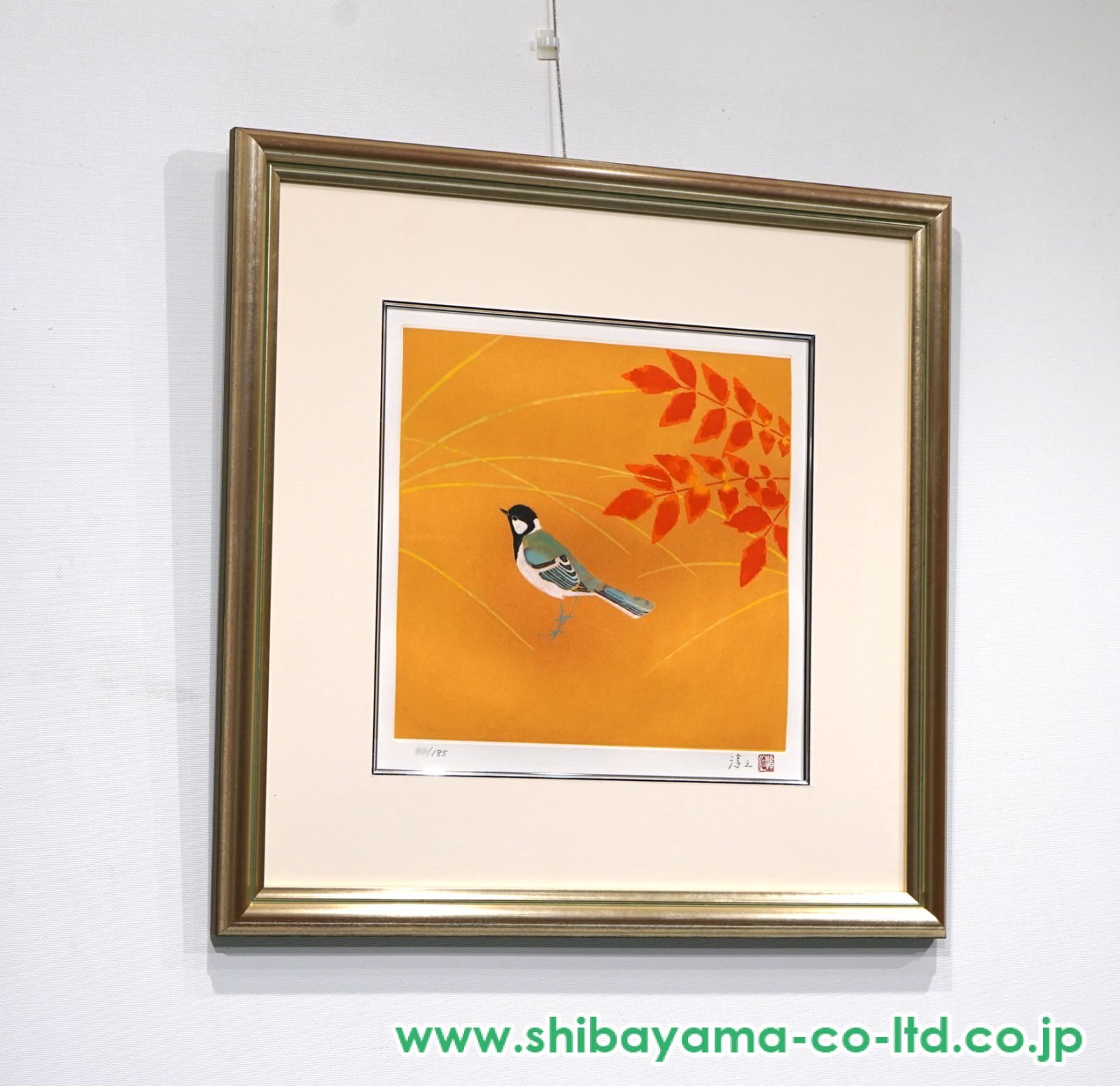 上村淳之　銅版画　12枚未使用セット 上村淳之画集(上村淳之(うえむらあつし)) / ほその書店 / 古本