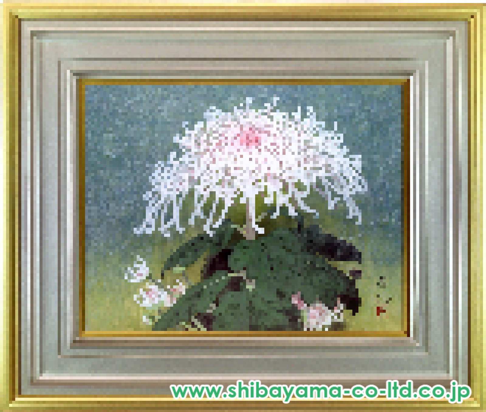 松本高明「菊」日本画 F6号 :: 絵画買取・販売 - シバヤマ