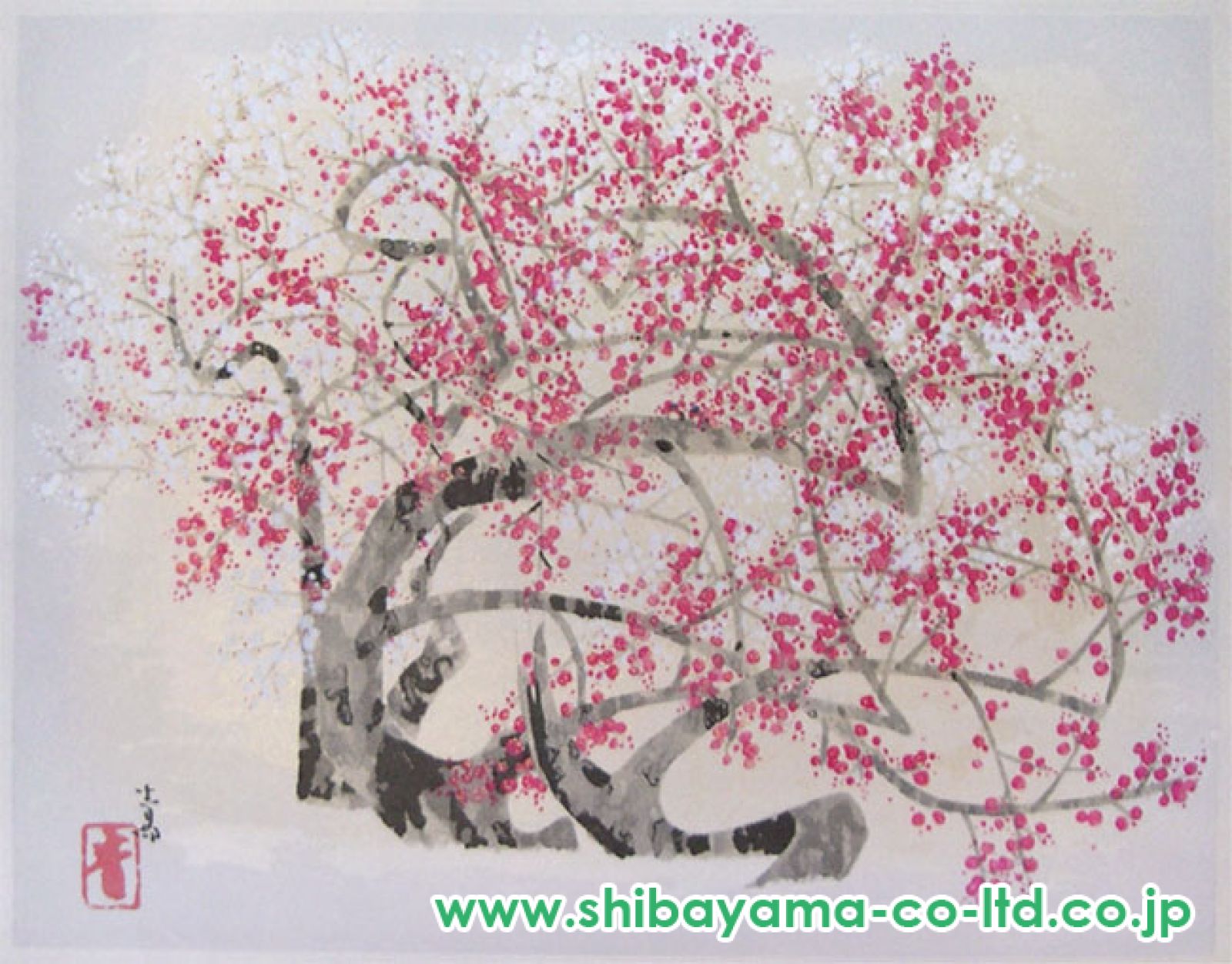 前田 青邨、「紅白梅」、厳選、希少画集・額装画、人気作品、新品高級額 額装付 前田青邨 「紅白梅」紙本彩色額装 M12号 東京美術俱楽部鑑定証付