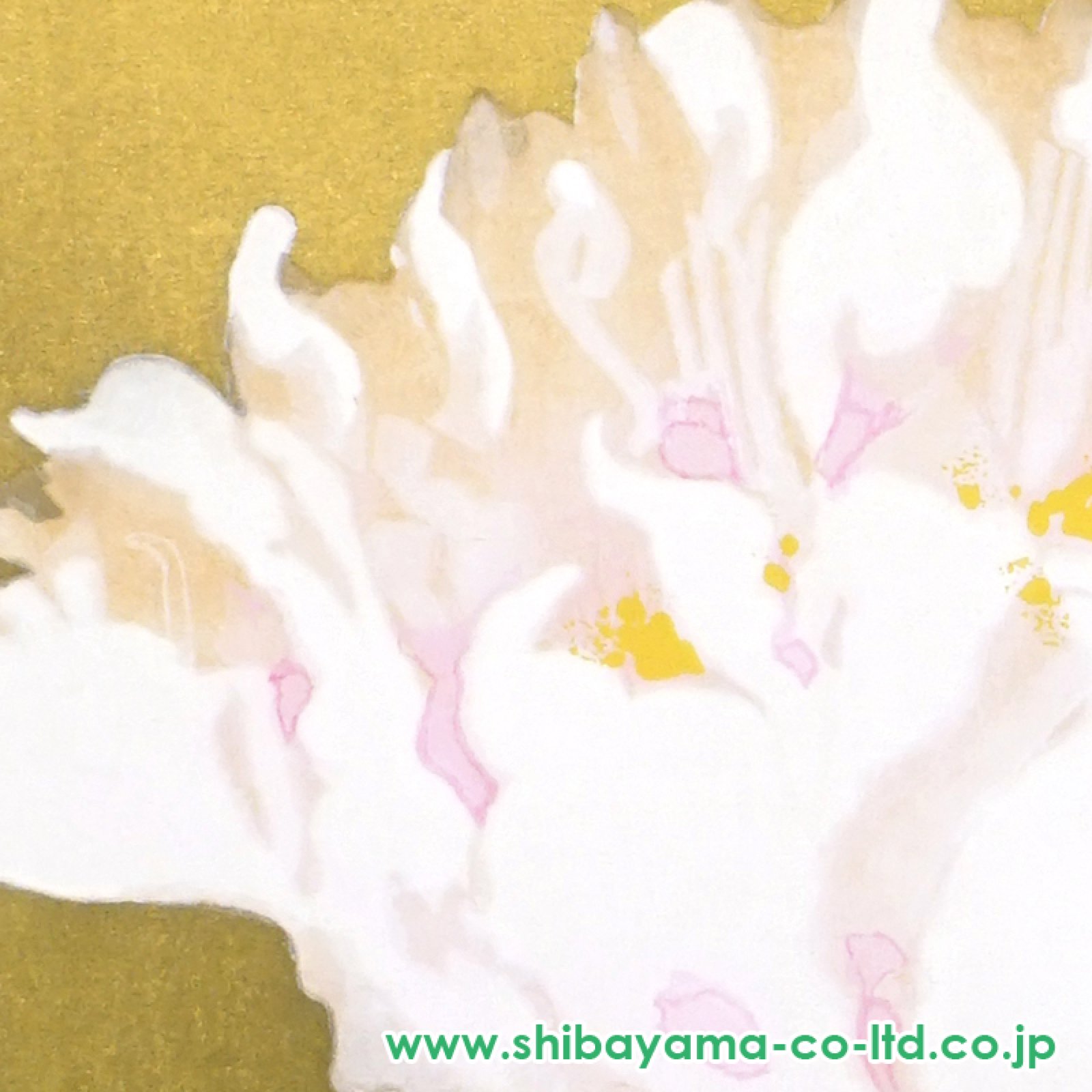 加山 又造、白牡丹、希少画集画、新品額装、状態良好 加山又造 白牡丹 | 絵画など美術品の販売と買取 | 東京・銀座