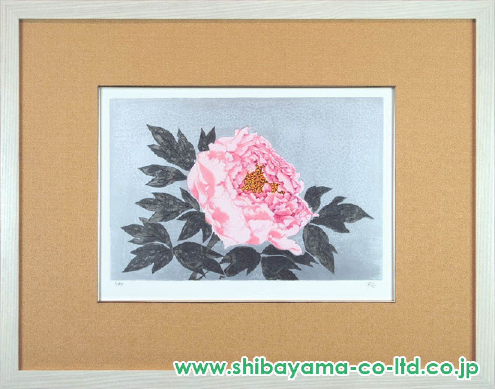 加山 又造、白牡丹、希少画集画、新品額装、状態良好 加山又造、【猫と牡丹】、希少な画集より、新品高級額装付、状態