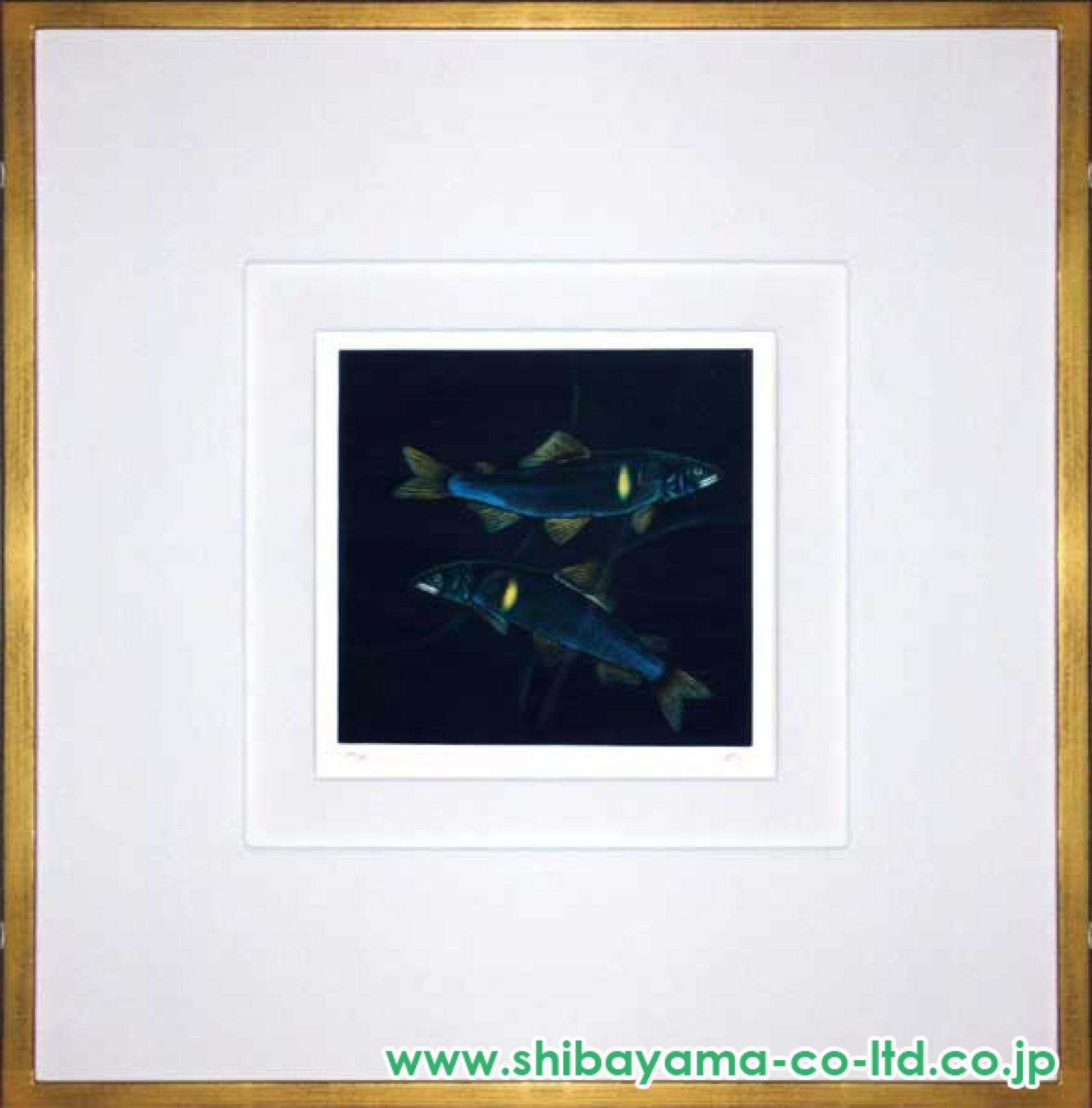 加山又造 銅版画 テトラ 1989年 限定150部 メゾチント 額装 巨匠 絵画 加山又造 銅版画 テトラ 1989年 限定150部 メゾチント 額装 巨匠