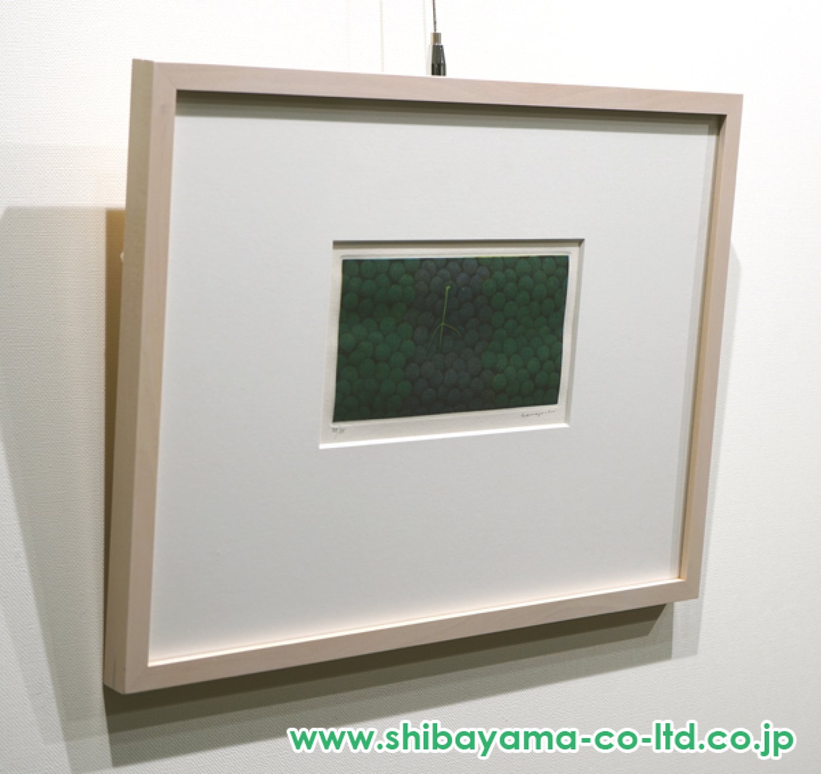 浜口陽三、メゾチント 、緑と紫のぶどう、希少な額装用画集より、新品高級額装付 浜口陽三 二色のぶどう | 絵画など美術品の販売と買取 | 東京