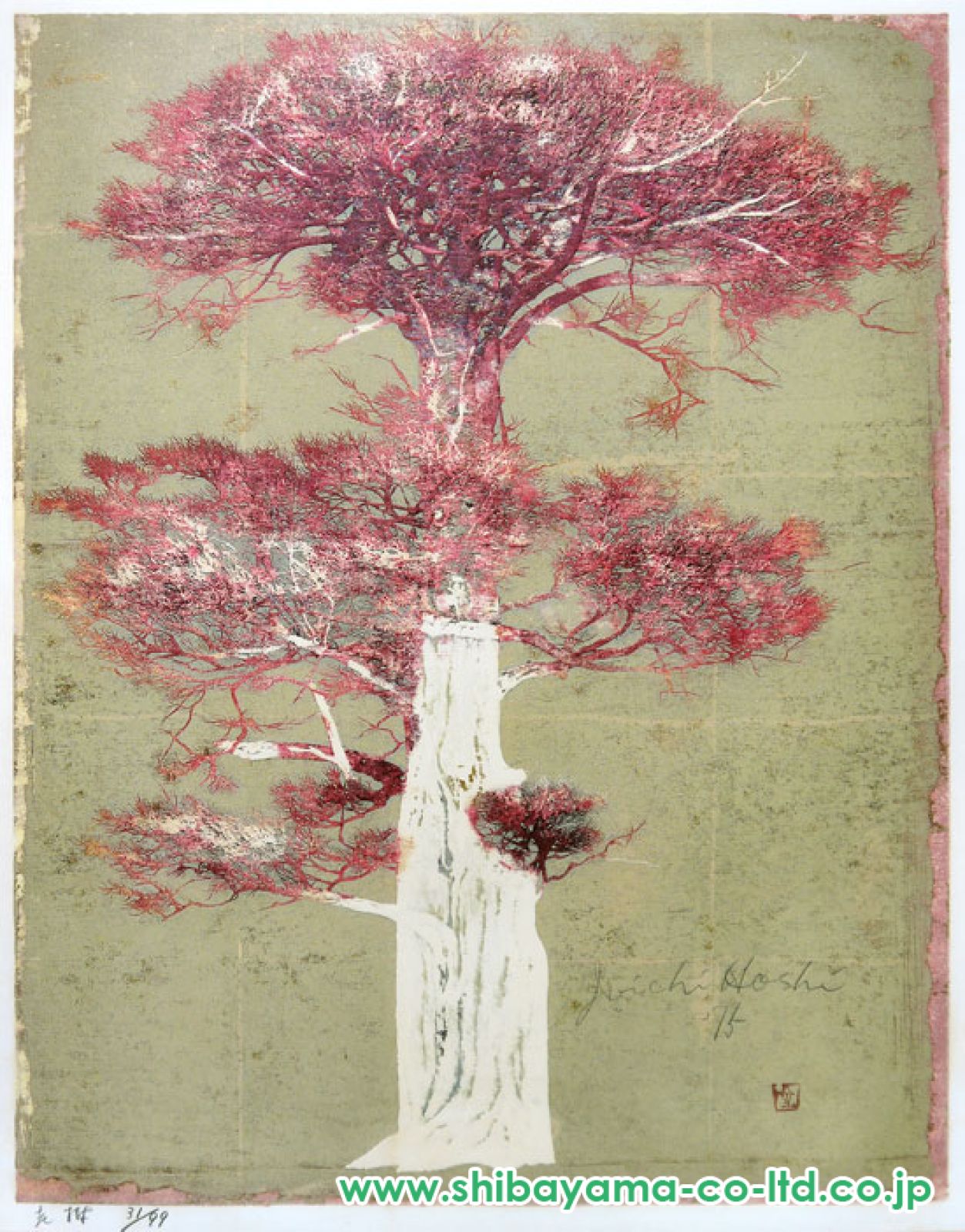 星襄一「老樹」木版画 :: 絵画買取・販売 - シバヤマ