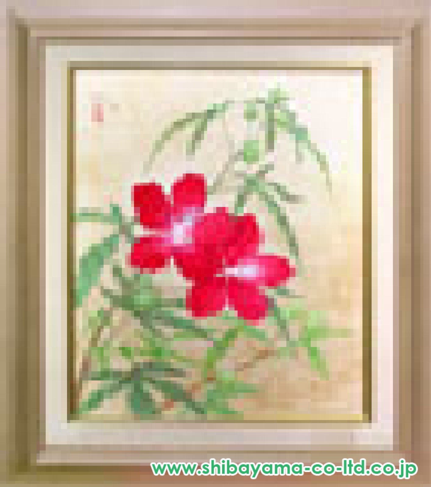 8048_2b683cc5eff533bea25c1a9a0