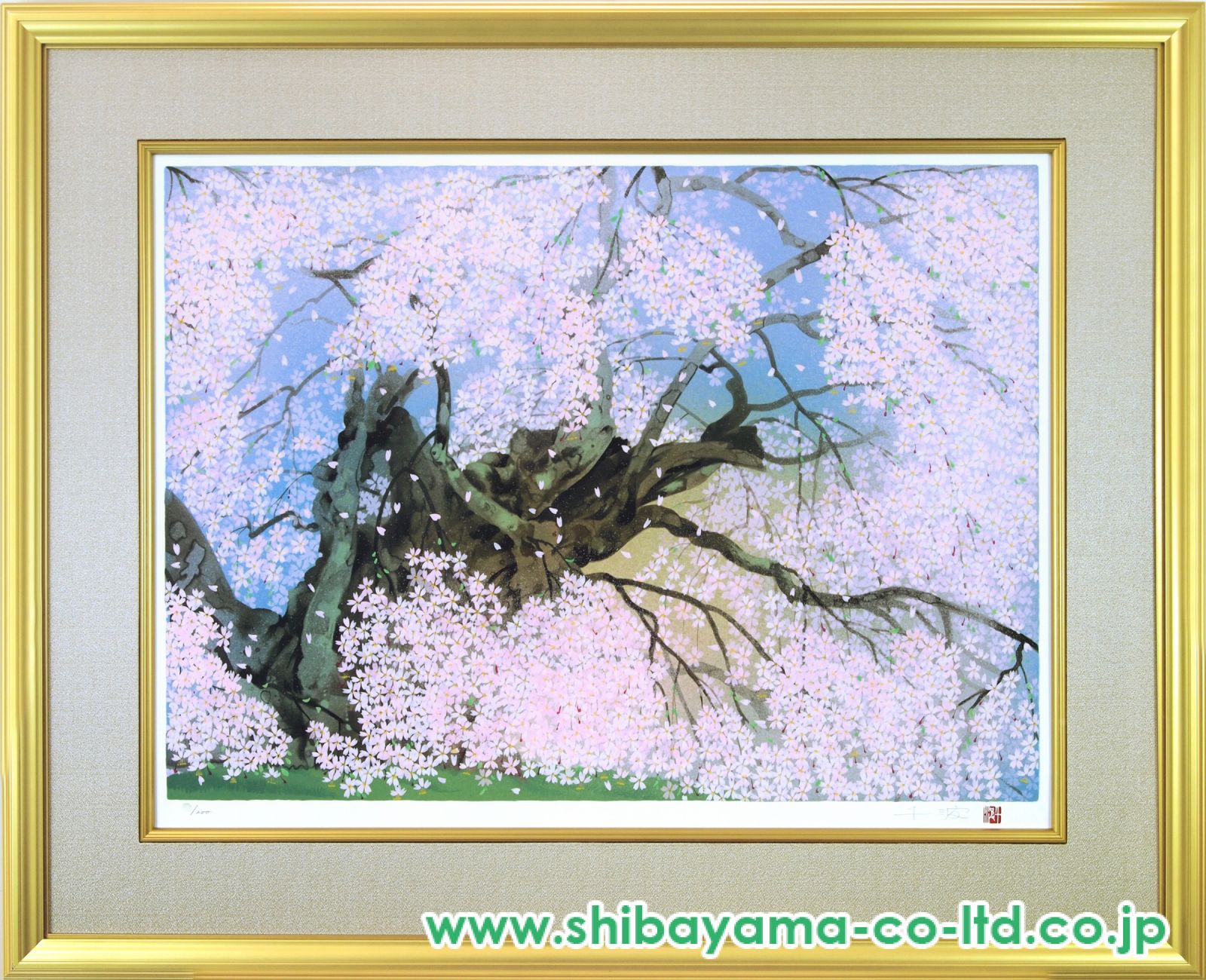 中島千波「久遠寺の瀧桜」石版画 中島千波「久遠寺の瀧桜」シルクスクリーン :: 絵画買取・販売