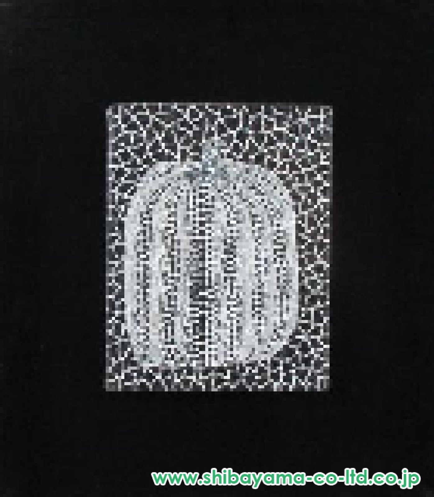 草間彌生「かぼちゃ(白黒)」油彩 0号 :: 絵画買取・販売 - シバヤマ