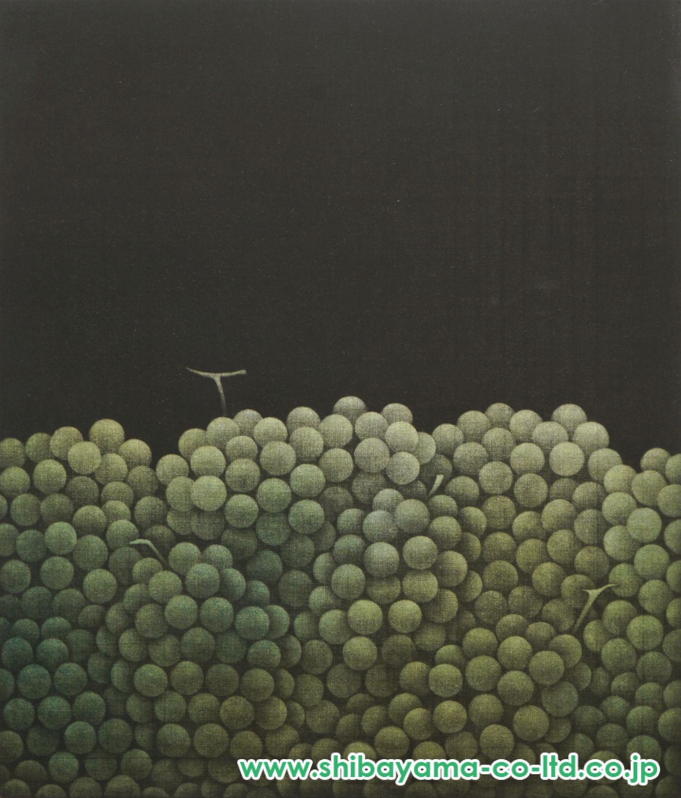 バティック絵画　白サギ　インドネシア　肉筆絵画　世界堂額入り 画材・額縁・文房具通販の世界堂オンラインショップ