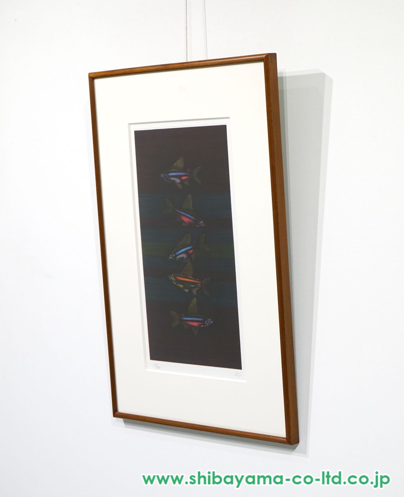 加山又造「熱帯魚 (5匹)」メゾチント＋ビュラン :: 絵画買取